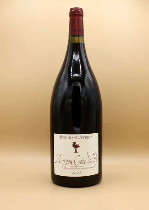 Nicolas Potel et Stéphane Aviron, experts en crus du Beaujolais, unissent leur savoir-faire pour créer des vins d’exception. Leur récente gamme en Vin de France, issue d’une collaboration avec des vignerons du Languedoc, offre accessibilité et qualité grâce à leur expertise et aux conditions climatiques favorables.