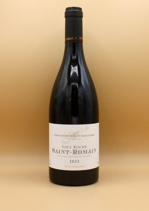 Christophe Violot-Guillemard - Saint Romain Sous Roche 2023