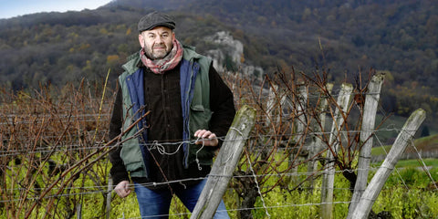 Domaine Anne et Jean-François Ganevat : Le Vin Naturel au Cœur du Jura
