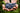 BIO, HVE, BIODYNAMIE, NATURE…?
