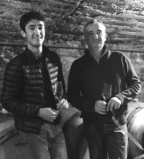 Domaine Violot-Guillemard : L’élégance des vins de Pommard en Bourgogne